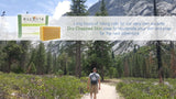 Patchouli & Orange Peel (DRY CHAPPED SKIN) - Organic Soap Bar 4oz